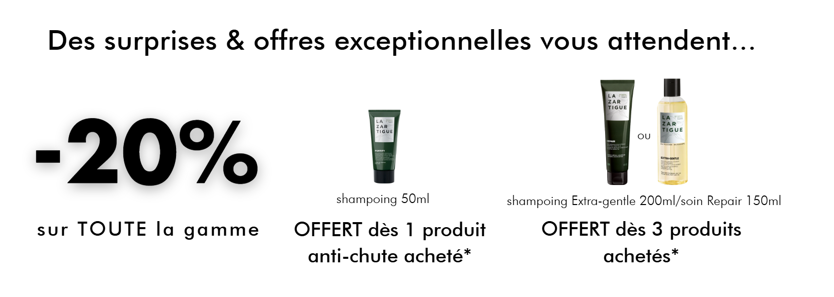 VISUELS OFFRES ARTICLE VP.gif